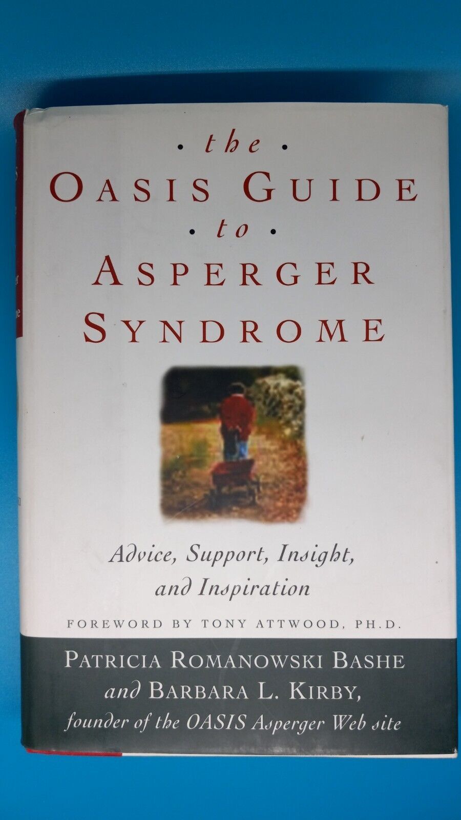 The Oasis Guide To Asperger Syndrome Advice Support Insights And Inspiration Books 