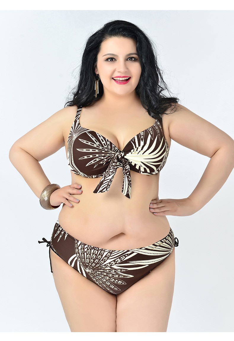 plus size 2pc swimwear