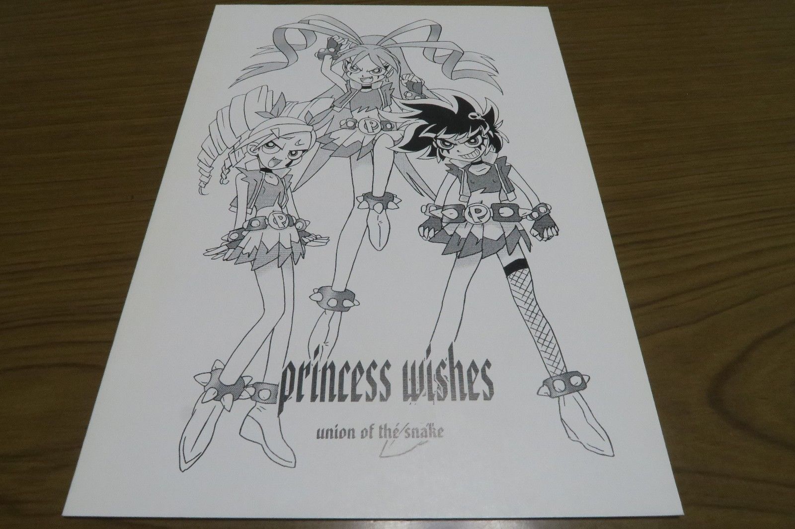 Princess wishes PPG union of the sna The Powerpuff Girls doujinshi B5 42pages