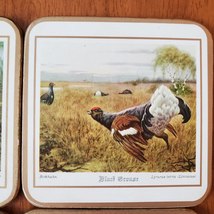 Pimpernel Coasters, Game Birds, set of 6 in Box, Vintage Duck Pheasant Partridge image 6