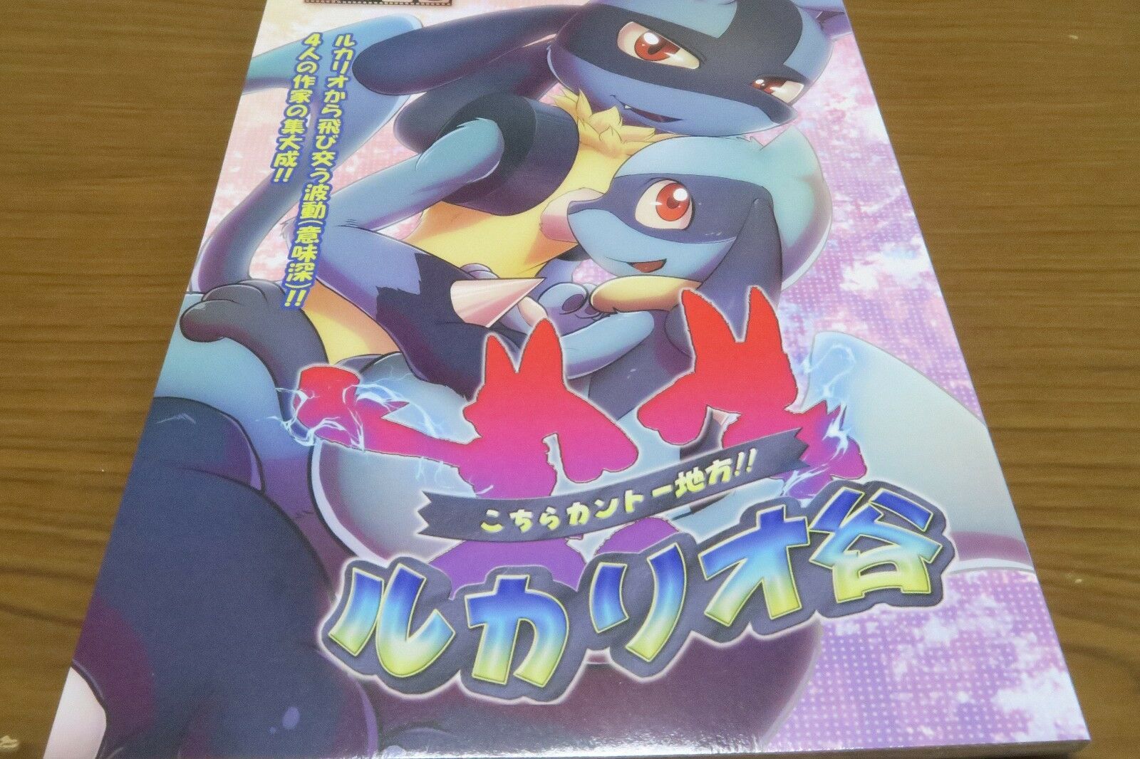 UK outlet store Doujinshi POKEMON Lucario main (A5 58pages ...