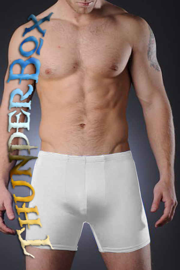 Men's Nylon/Spandex Swim Shorts 2714829 2017 â $9.99