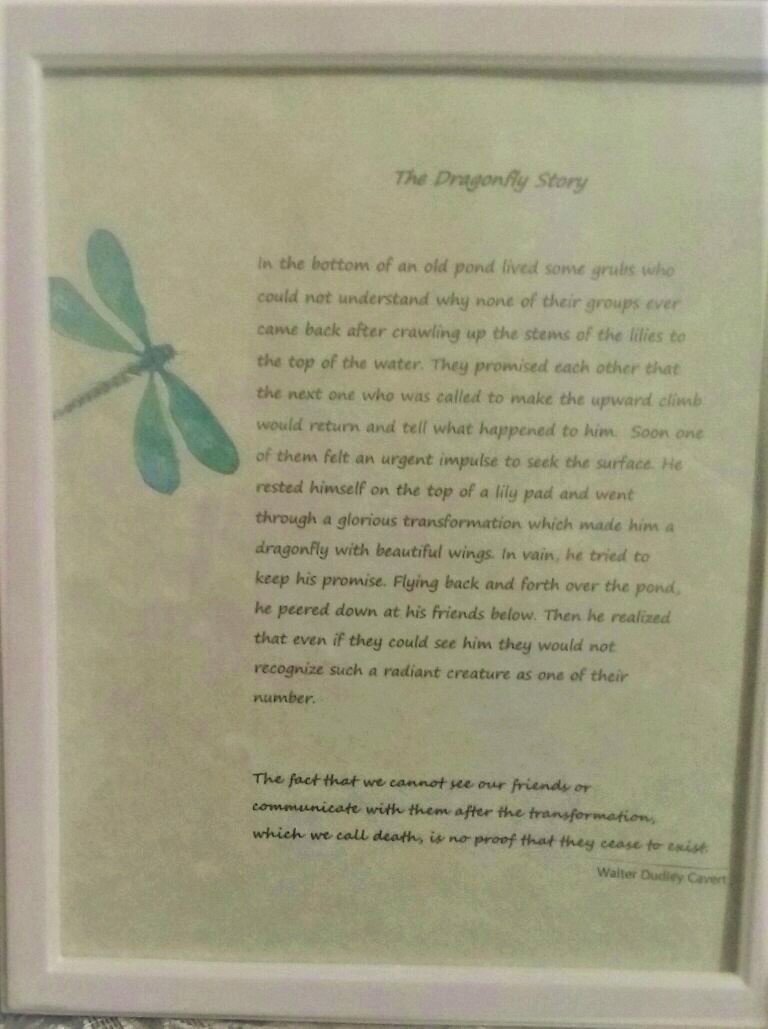 Framed The Dragonfly Story Condolence Gift - Dragonfly Grieving Gift ...