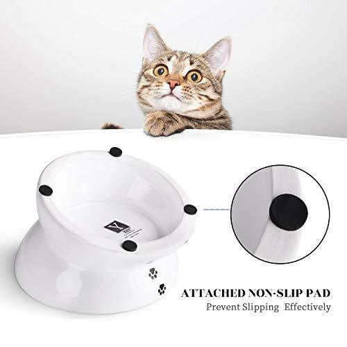 Y YHY Ceramic Raised Cat Food Bowl, Slanted Cat Dish, Tilt Angle
