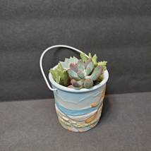 Succulent Arrangement in Upcycled Planter, Yankee Candle Holder, Beach decor image 3
