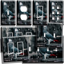 African Grey Red Tail Parrot Bird Light Switch Outlet Wall Plates Pet Room Decor - $10.99+