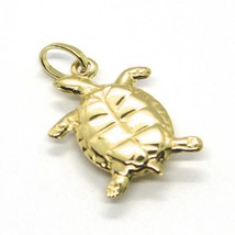 18K YELLOW GOLD PENDANT, ROUNDED TURTLE, SMOOTH, 0.7 INCHES, MADE IN ITALY image 2