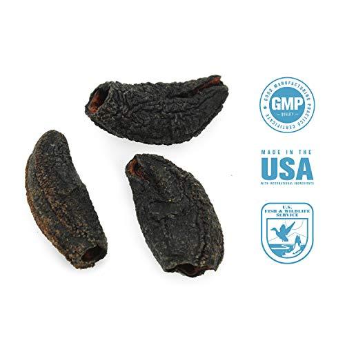 SB Organics Canadian Sea Cucumbers - Wild Caught Sea Cucumber Dried All ...