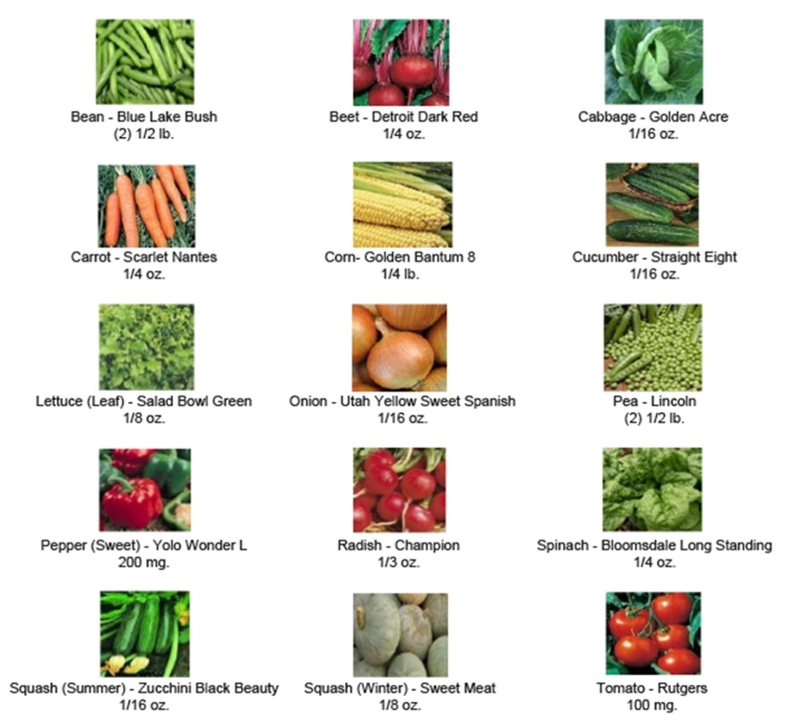 Endless Garden Seeds 15 Varieties Non-Hybrid & Non-GMO, Emergency Food ...