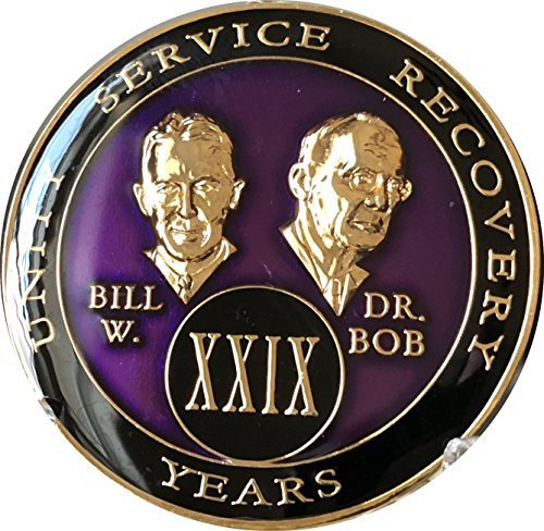29 year AA Medallion Purple Tri-Plate Founders Bill & Bob Chip XXIX