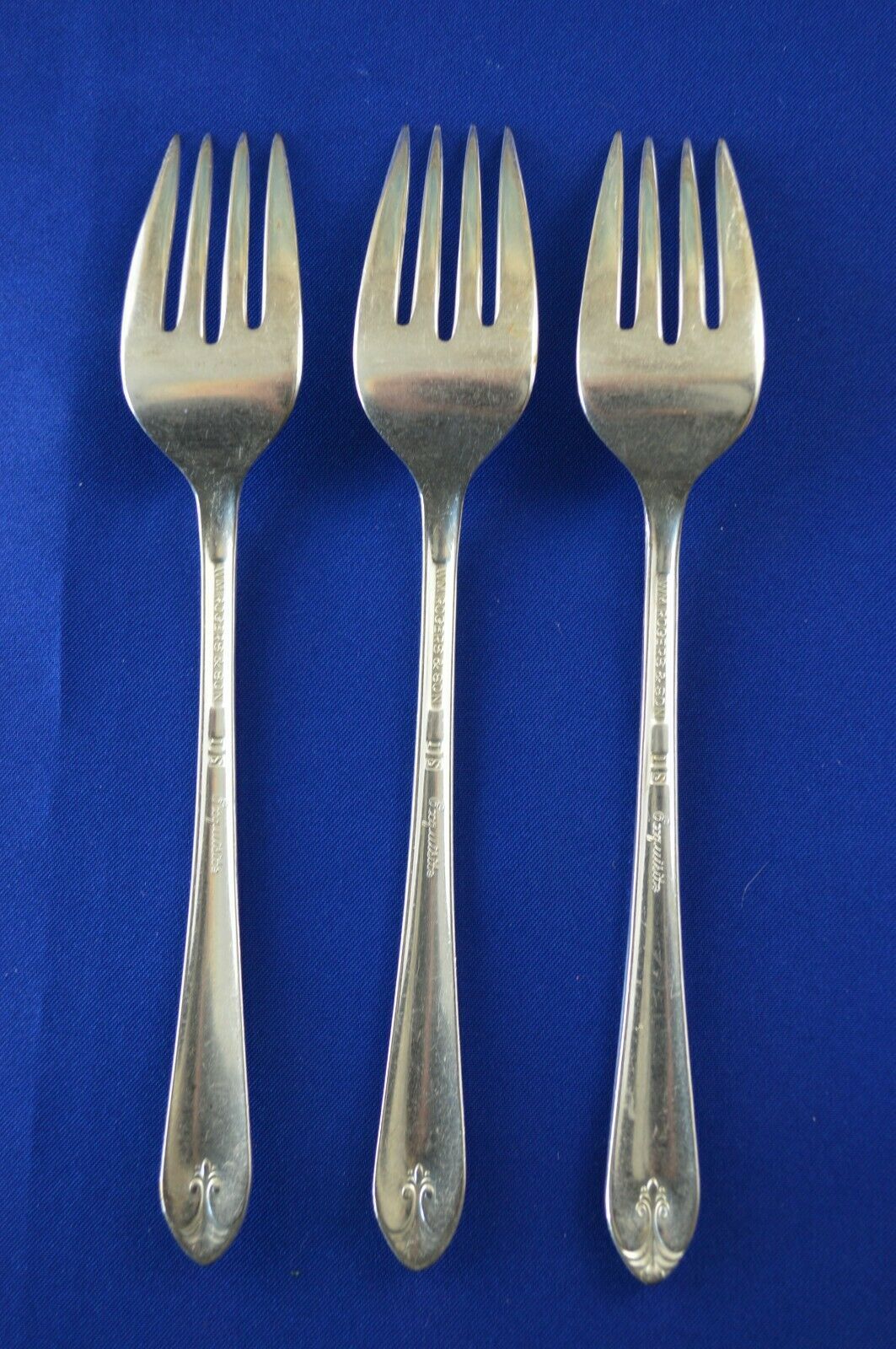 CELEBRITY aka WILD ROSE 1939 SALAD or DESSERT FORK BY WM A ROGERS 