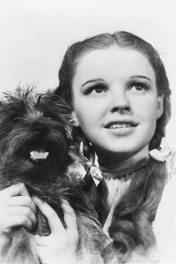 Judy Garland As Dorothy Gale The Wizard Of Oz 11x17 Poster Smiling With ...