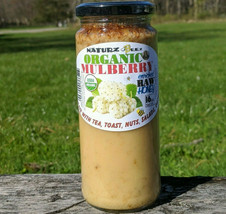 Organic Raw Honey & Organic White Mulberries 1LB / 454g Usda Organic Certified - $18.76