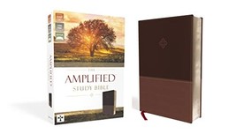 The Amplified Study Bible, Leathersoft, Brown [Large Print] [Imitation L... - $74.99