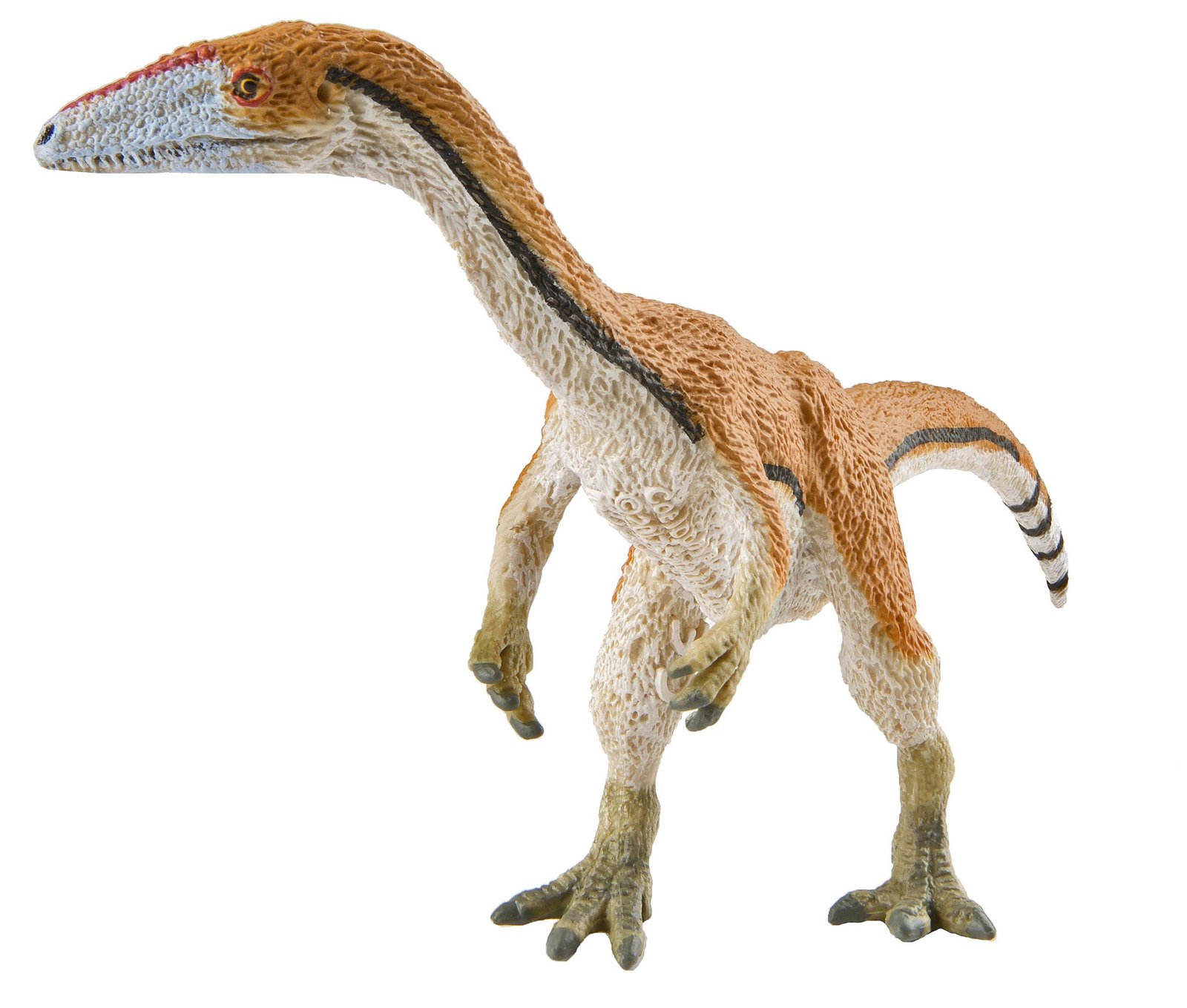 coelophysis model made by safari ltd