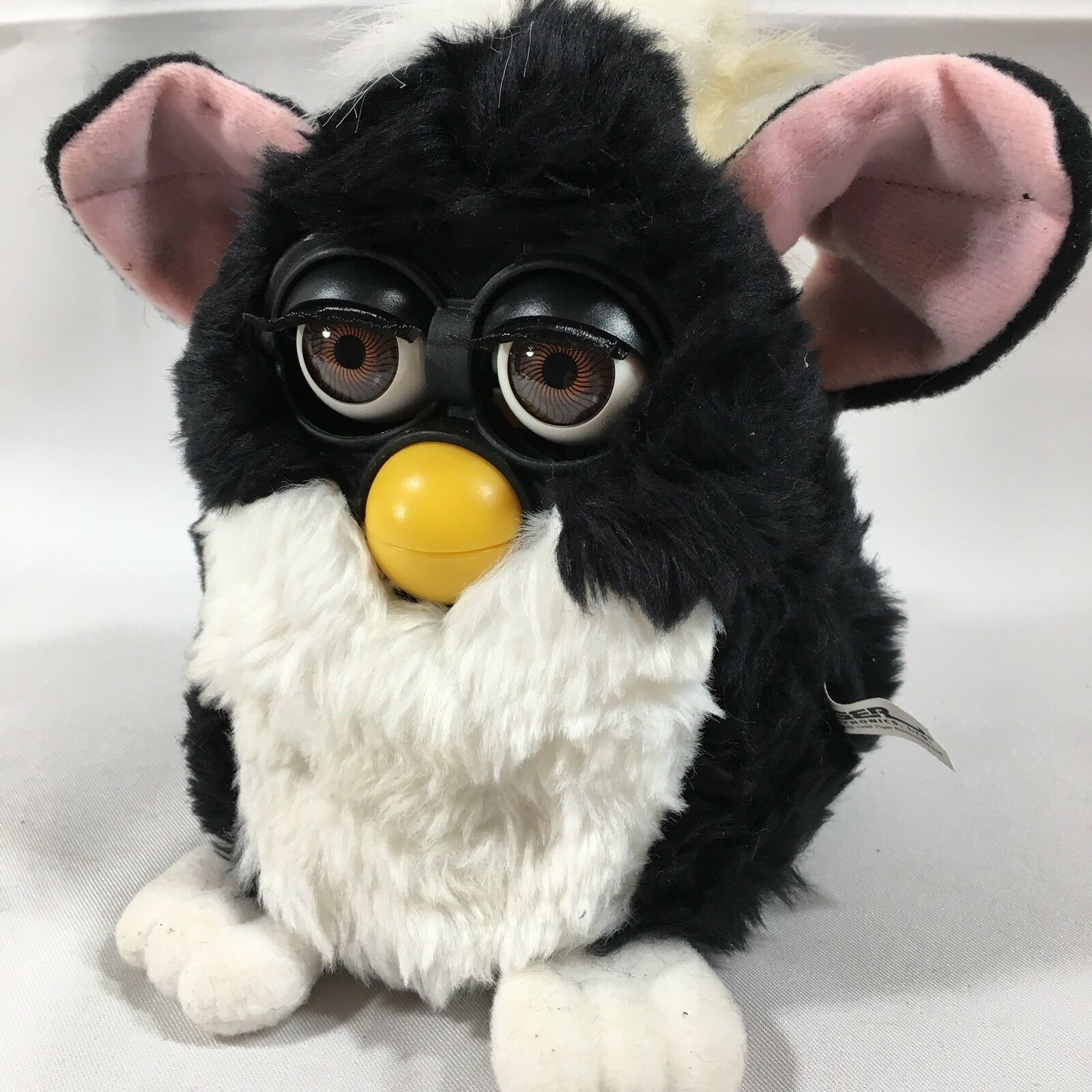 skunk furby
