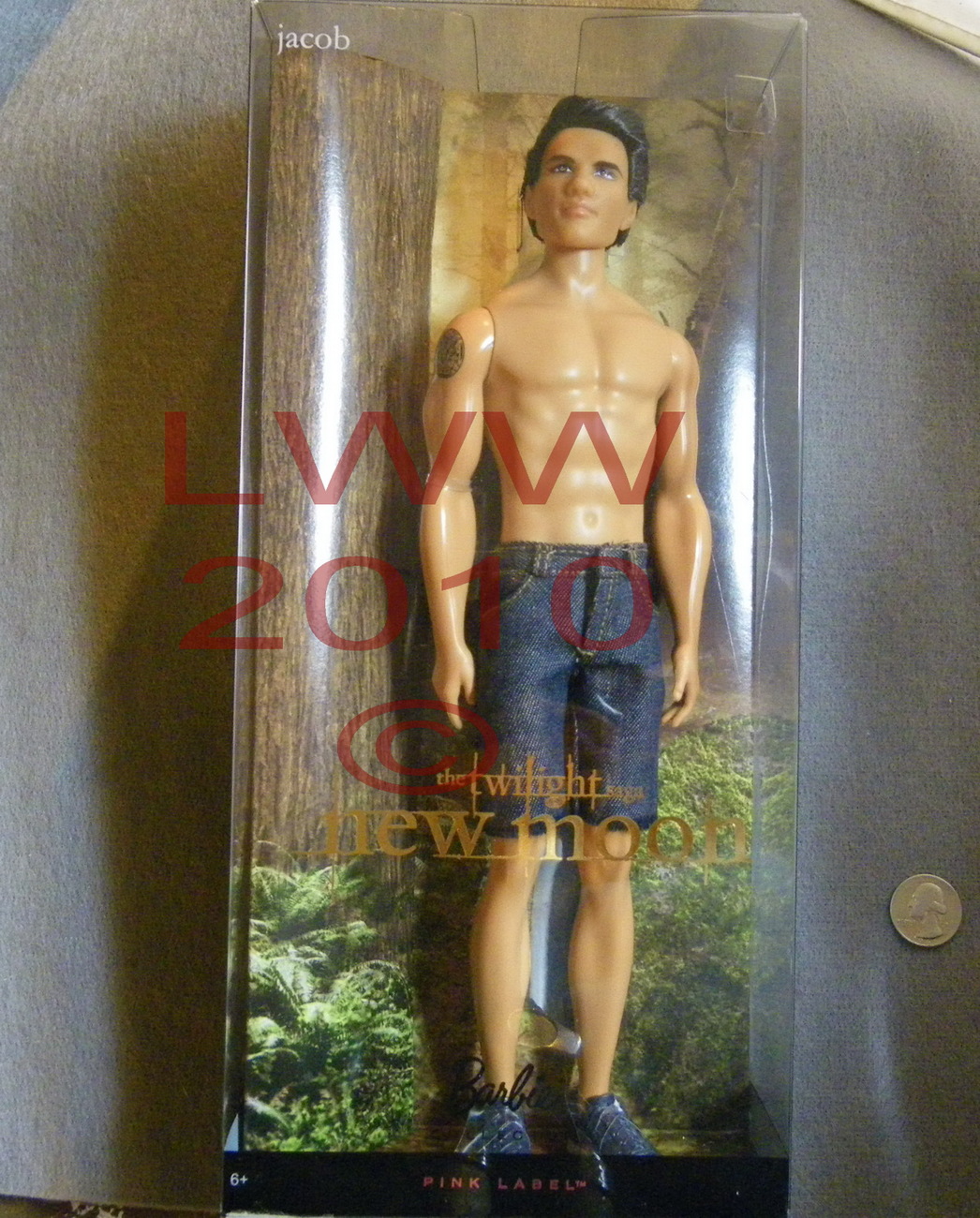 new moon jacob doll