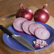 Red Carpet Organic Onion Seed , Vegetable Seeds,Ship From US - $18.00