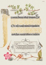 14074.Decor Poster.Kitchen Room wall design.Renaissance floral calligrap... - $14.25+