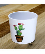 Indoor Garden 3-inch Ceramic Cactus Succulent Flower Planter Pot - $6.88