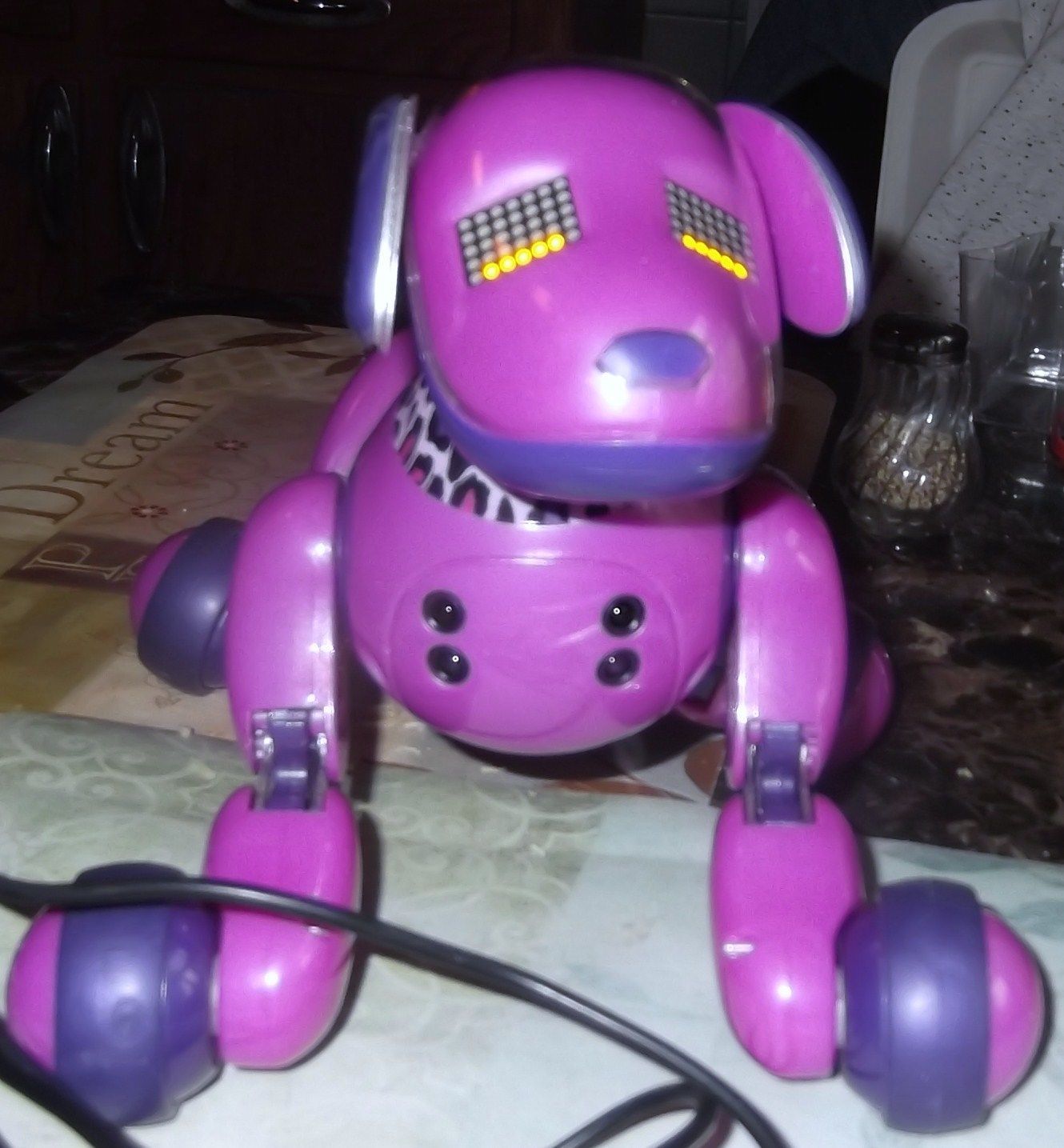 purple robot dog