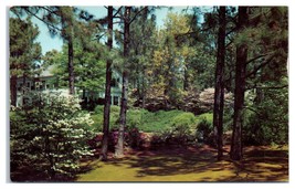 Pinehurst North Carolina Estate Unused Postcard-
show original title

Or... - $30.17