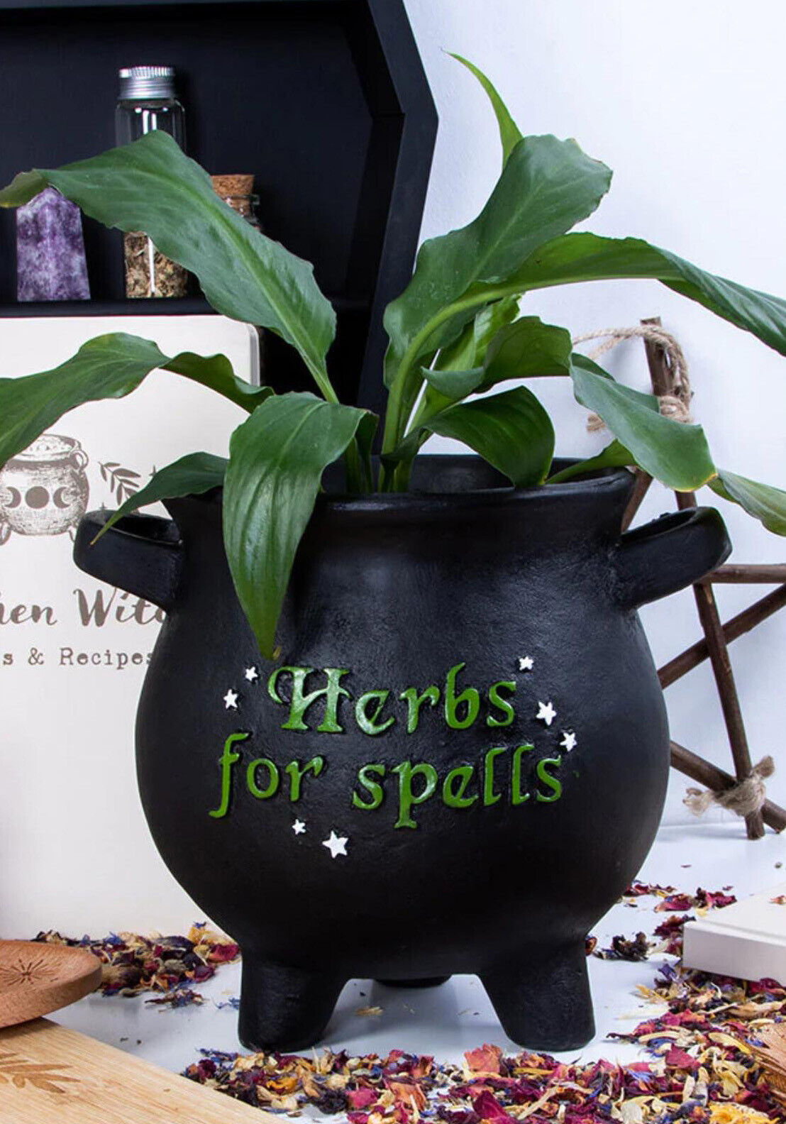 Green Thumb Witch Gardening Black Herbs For Spells Cauldron Planter Pot 7.5D