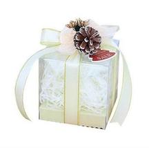 10 Pcs Christmas Apple Boxes Transparent Candy Gift Box Beige Ribbon + P... - $28.00
