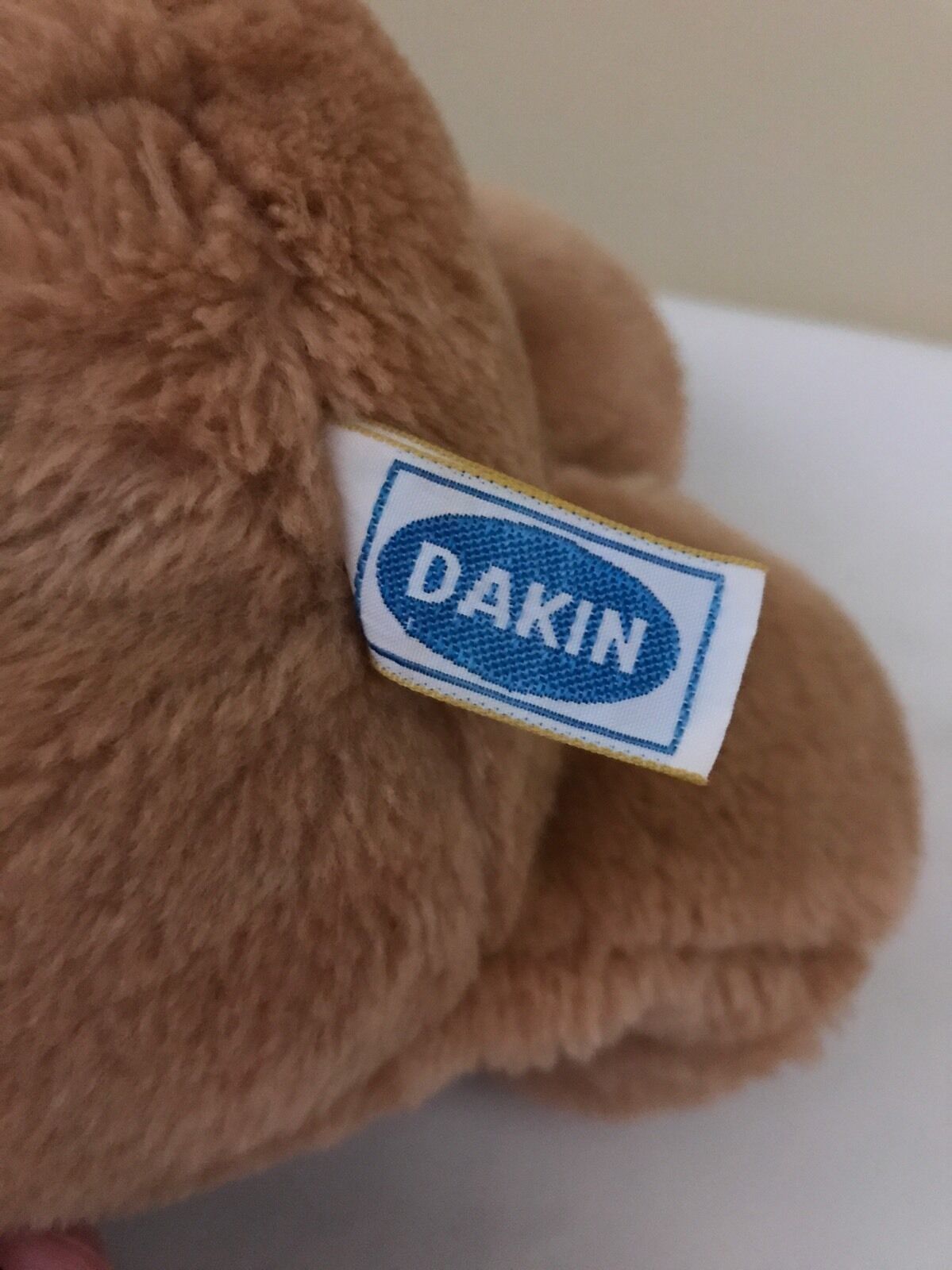 dakin brown bear