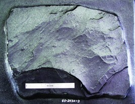 Giant 25"x33"x2" Fieldstone Stepping Stone, Path, Rock Mold #GS-2533-2 Fast Ship image 7