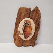 Wooden Owl Wall Plaque, Driftwood Bird Decor, Hand Painted Rustic Wood Owl Art