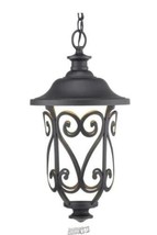 Leawood 1-Light Textured Black Modern Outdoor Hanging Lantern Light - $273.59