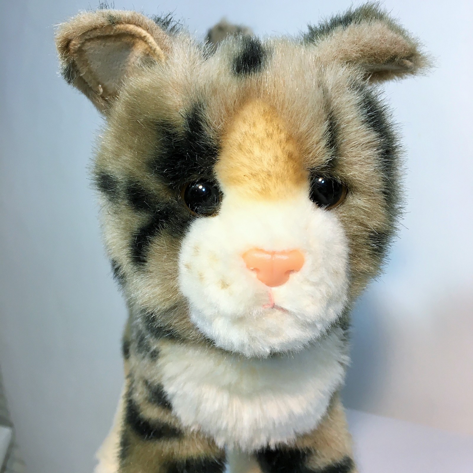 pink cat cuddly toy