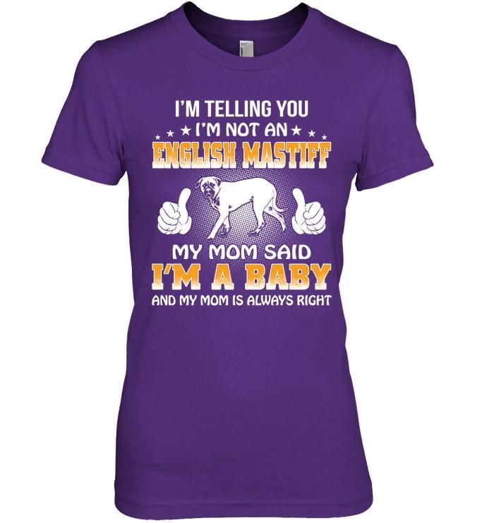 t shirt in english