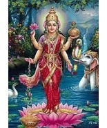 FREEBIE FREE RITUAL WITH ANY PURCHASE TREASURES OF LAKSHMI WEALTH  - $0.00