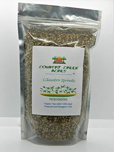 Cilantro Seed, Sprouting Seeds, Microgreen, Sprouting, 5 OZ, Organic Seed, Non G