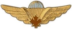 Primary image for CANADIAN PARATROOPER MAPLE LEAF WING  BIG  2 1/2"  PIN