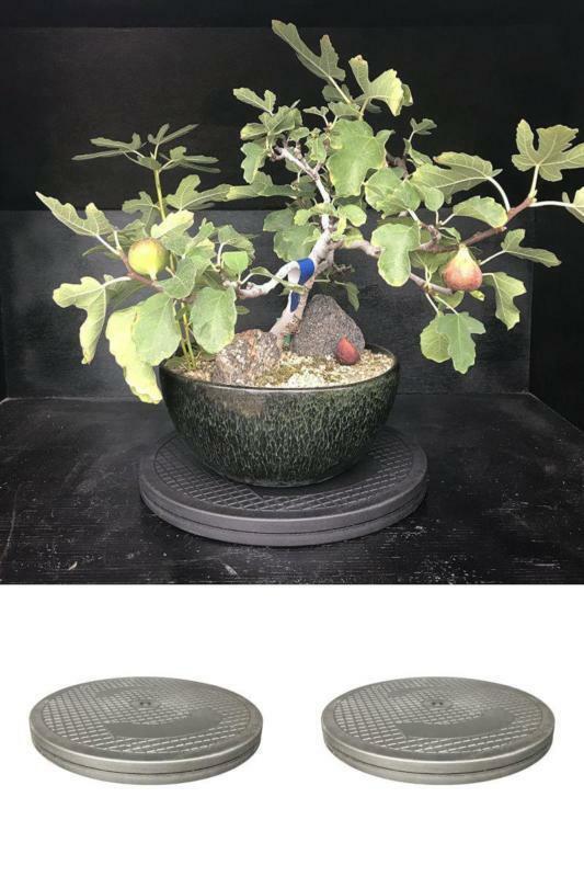 Bonsai Outlet Stainless Steel Tree Plant Turntable 12.5" Base 200 Pound