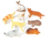 12assortedcatsbigzoo thumb155 crop