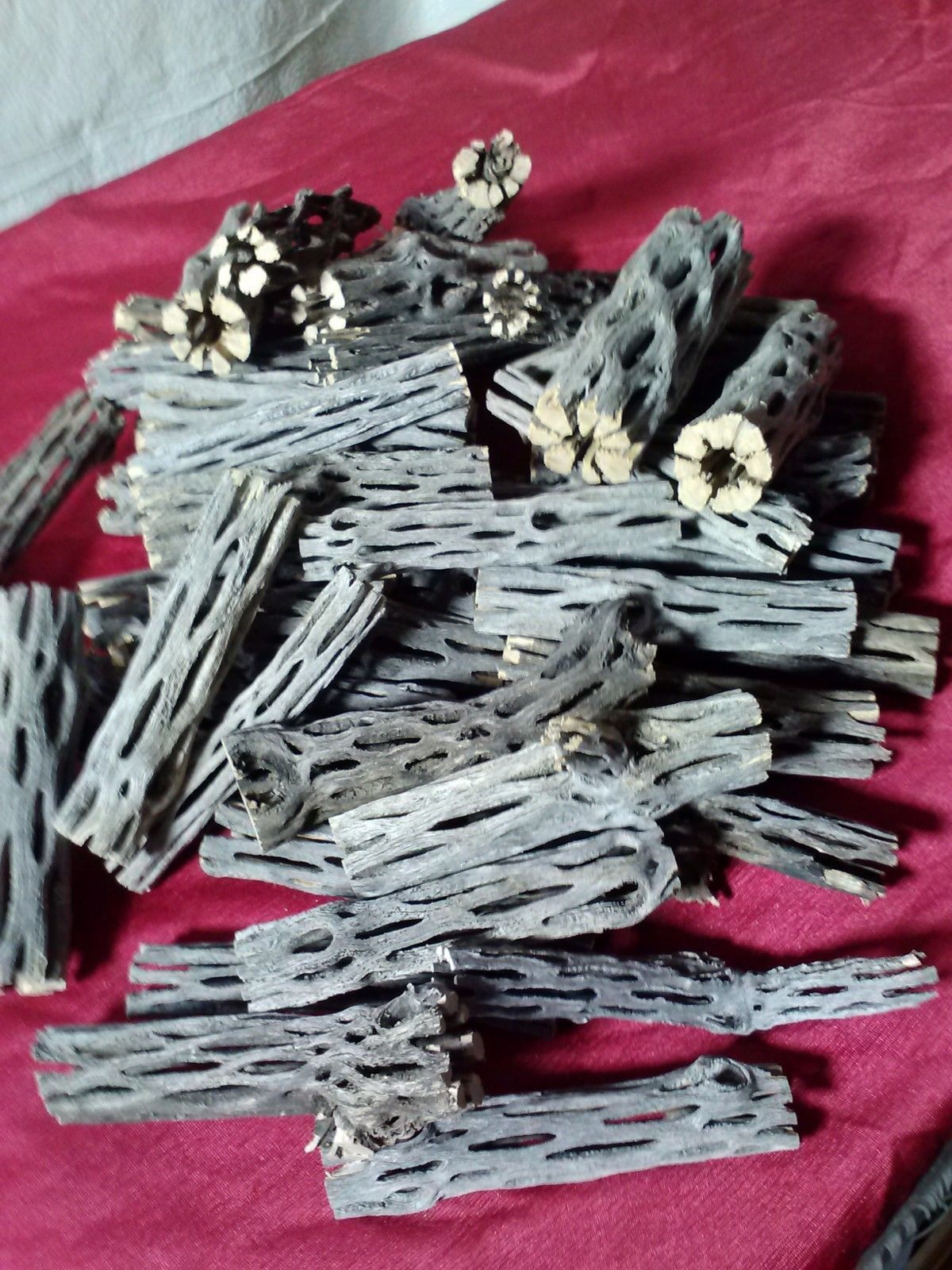 50 Pieces Dried Cholla Cactus Wood 4" L - Other