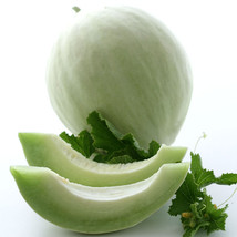 Ship From Us Organic Green Flesh Honeydew Melon Seeds ~2 Oz Seeds -HEIRLOOM TM11 - $82.56