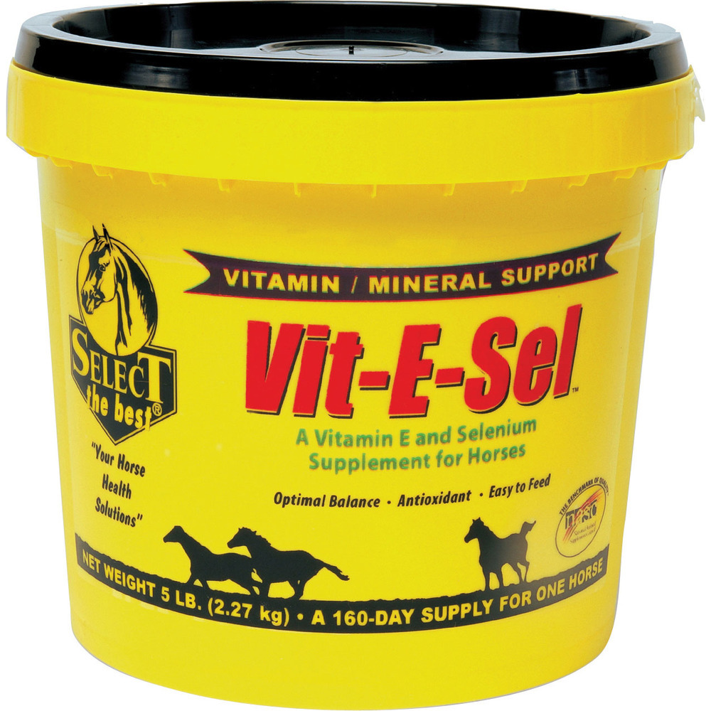 Richdel Vit-e-sel Vitamin & Mineral Supplement For Horses ...