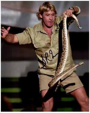 STEVE IRWIN Authentic SIGNED AUTOGRAPHED 8x10 Photo w/COA 1553 - Other