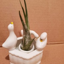 Vintage Porcelain Candle Holder, 3 White Geese Candleholder / Air Plant Holder image 9