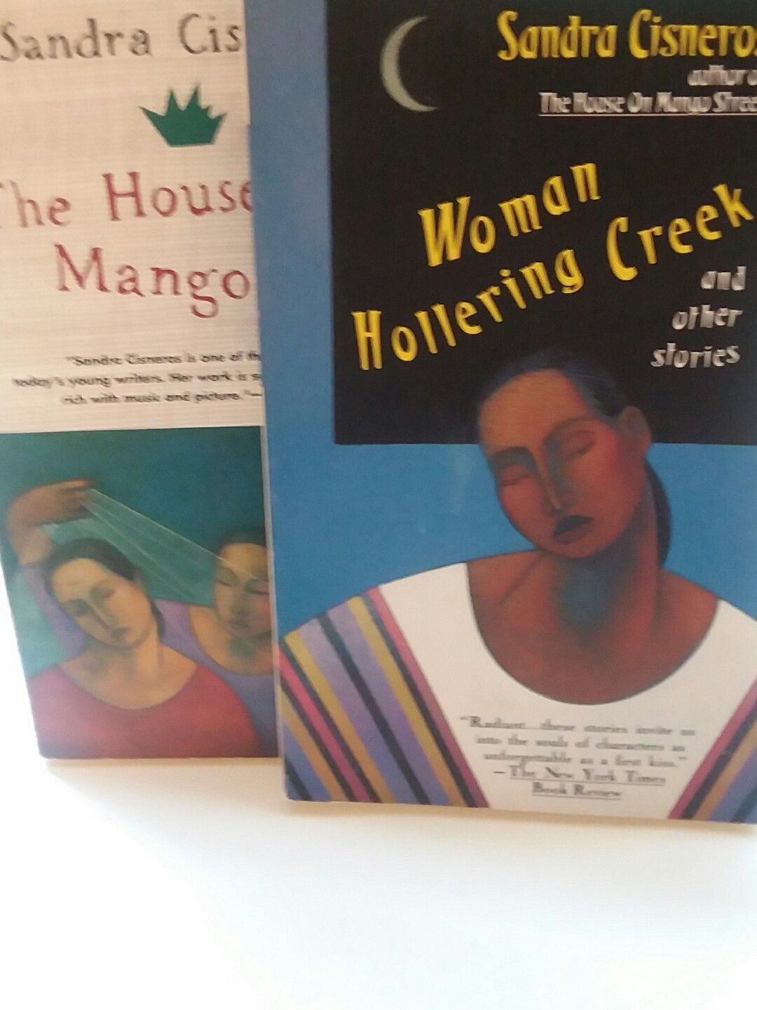the obstacles of growing up in house on mango street by sandra cisneros and a separate peace by john House on mango street study guide contains a biography of sandra cisneros, literature essays, quiz questions, major themes, characters, and a full summary and analysis. the obstacles of growing up in house on mango street by sandra cisneros and a separate peace by john House on mango street study guide contains a biography of sandra cisneros, literature essays, quiz questions, major themes, characters, and a full summary and analysis.