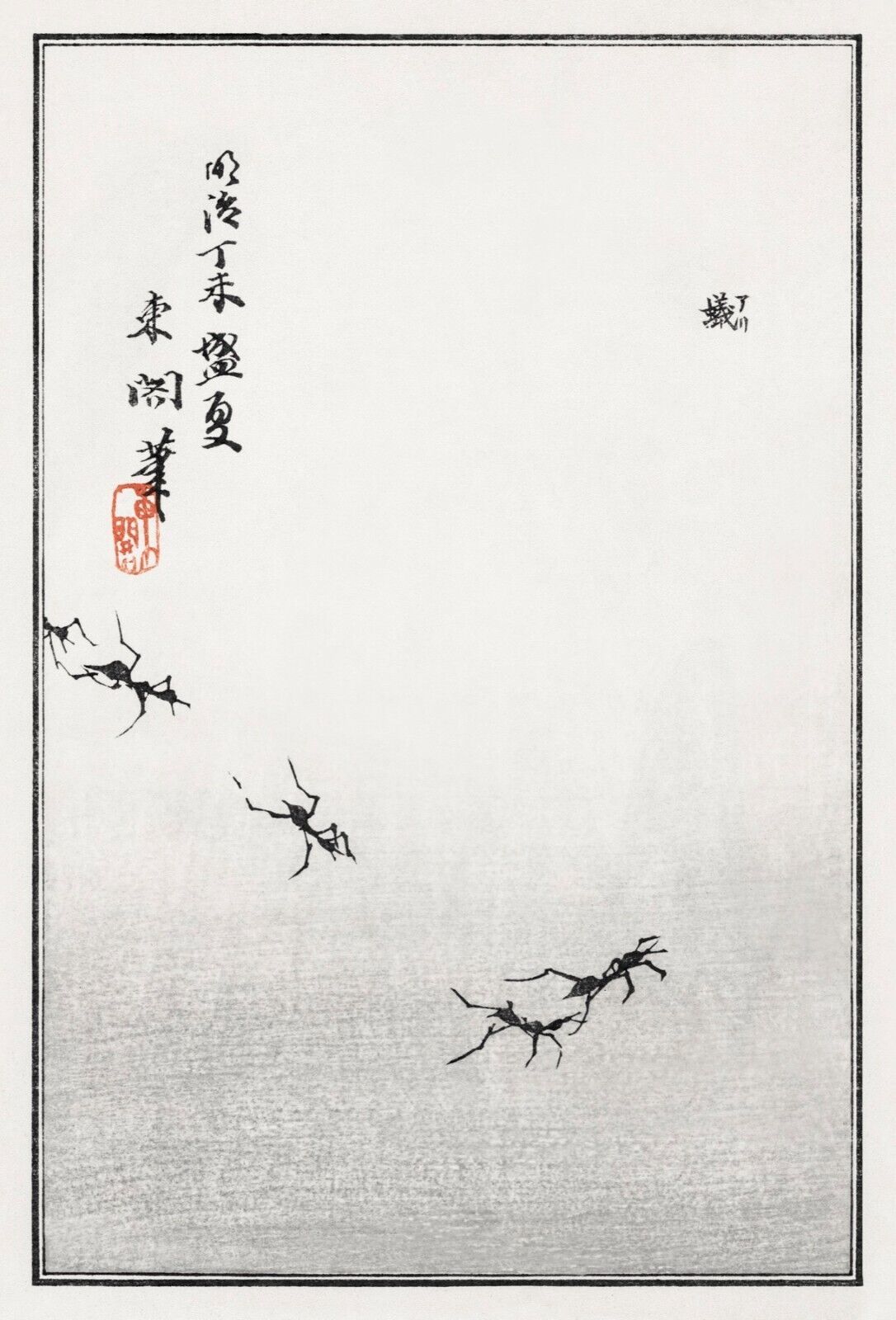10066.Decor Poster.Room home wall.1910 Japan print.Morimoto Toko art.Ants