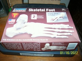 Lindberg Skeletal Foot Model Kit Unbuilt in Box - $25.00
