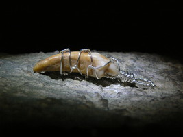 BEAR SPIRIT Tooth in Silver Pendant Extremely Powerful Amulet izida - $343.00