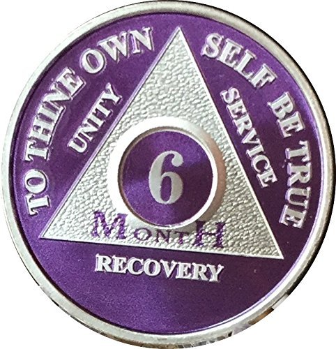 6 Month Purple Silver Plated AA Medallion Chip