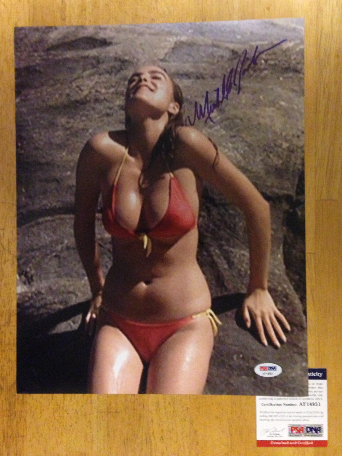 Signed 11 x 14 photograph of Michelle Johnson Actress Blame It On